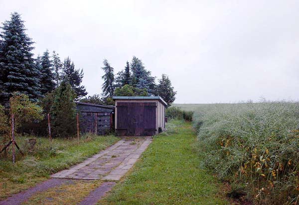 Raps1.jpg (56546 Byte)